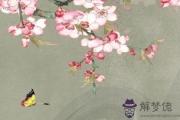 牛年常姓女寶寶起名大全 獨特好聽有寓意名字
