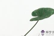 2021年農歷二月二十九出生的孩子命好嗎,這天五行缺什麼
