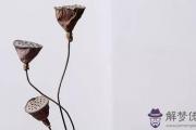 1998戊寅年屬虎五行屬什麼缺什麼,城墻土命生于幾月好