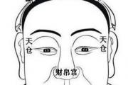 盤點最有福氣的7種鼻子