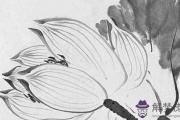 丁丑日柱遇2021辛丑流年大運,有漲薪機遇