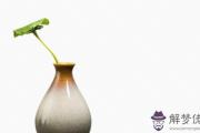 庚戌日柱見2020庚子流年運勢，宜靜不適合行動