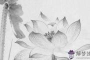 流年正印坐比肩，萬事順利發達