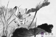 免費算命:乙卯日主逢庚子流年大運,2020年感情邁入新階段