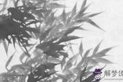庚子流年七殺在夫妻宮,未婚女命易嫁老夫