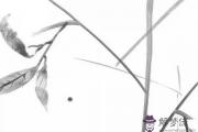 2020庚子年正印主事七殺有制,格局逆轉變兇為貴