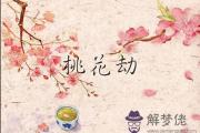 從出生年月看哪些人最容易遇上桃花劫
