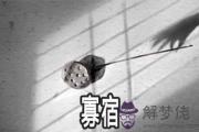 寡宿是什麼意思 命帶寡宿怎麼樣