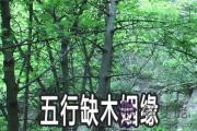2020年五行缺木的人有什麼樣的姻緣