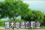 餓木命的人選什麼職業比較好