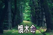 餓木命適合做什麼 忌諱什麼