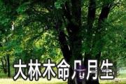 大林木命的人幾月出生有好財運