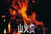 周易山火賁：談事業發展