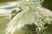 紫微命盤輔助星曜：天馬星詳解
