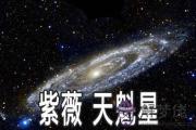 紫微甲級星曜：天魁星詳解