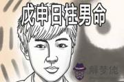 戊申日柱男命怎麼樣 是富貴命格嗎