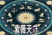 紫微命盤分析：天府詳解