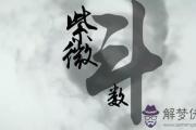 紫微斗數怎麼看 紫微斗數教程詳解