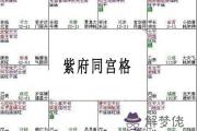 紫微斗數富貴格局：紫府同宮格詳解