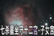 七殺星坐守十二宮：子女宮詳解