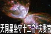天同星坐守十二宮：夫妻宮詳解