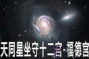 天同星坐守十二宮：福德宮詳解