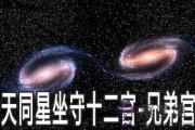 天同星坐守十二宮：兄弟宮詳解
