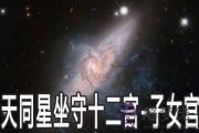 天同星坐守十二宮：子女宮詳解