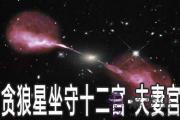 貪狼星坐守十二宮：夫妻宮詳解