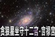 貪狼星坐守十二宮：官祿宮詳解