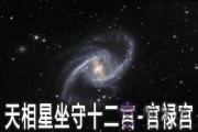 天相星坐守十二宮：官祿宮詳解