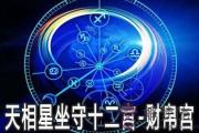 天相星坐守十二宮：財帛宮詳解