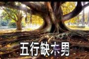 五行缺木的男人要怎麼做