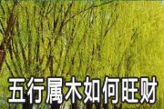 五行屬木的人怎麼旺財