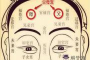 父母宮無主星命理解析