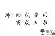 韓國寶兒生日五行八字命盤分析