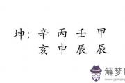 袁詠儀生辰八字免費查詢未來明星之路運勢如何？