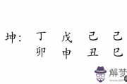 乘風破浪的姐姐張雨綺的生辰八字是什么？