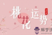 招桃花運的名字