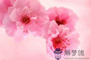 怎樣破解老公的桃花運