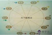 十天干合化與不化之分