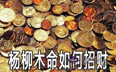 楊柳木命的人怎麼做可以招財