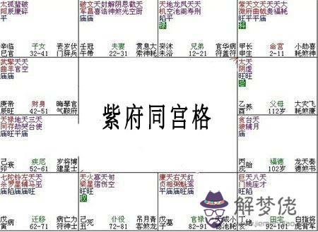 紫微斗數富貴格局：紫府同宮格詳解