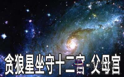 貪狼星坐守十二宮：父母宮詳解