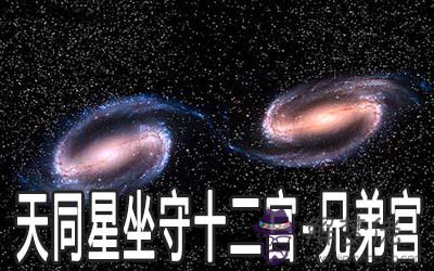 天同星坐守十二宮：兄弟宮詳解