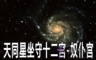 天同星坐守十二宮：奴仆宮詳解