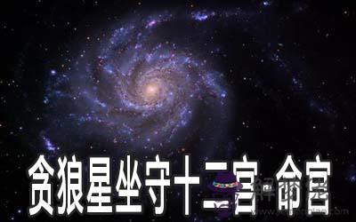 貪狼星坐守十二宮：命宮詳解