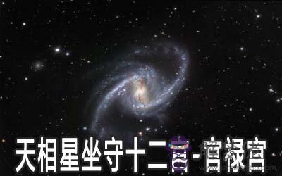 天相星坐守十二宮：官祿宮詳解