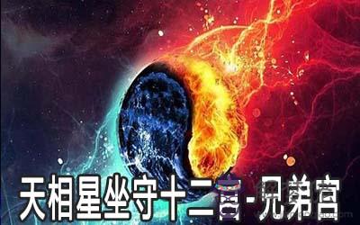 天相星坐守十二宮：兄弟宮詳解