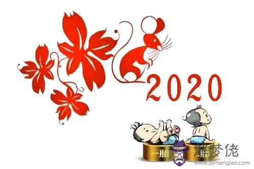 2020年出生的人是什麼命